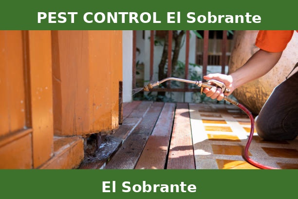 PEST CONTROL El Sobrante